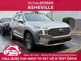 2023 Hyundai Santa Fe for sale in Asheville NC