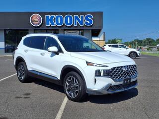 2023 Hyundai Santa Fe for sale in Orlando FL