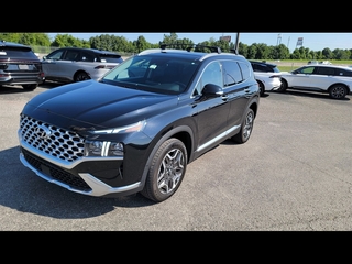 2023 Hyundai Santa Fe Hybrid for sale in Knoxville TN