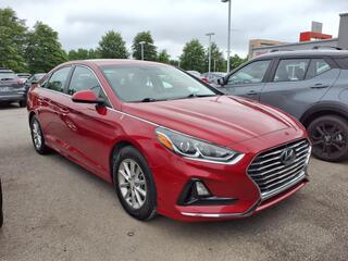 2019 Hyundai Sonata for sale in Clarksville TN