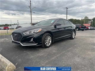 2019 Hyundai Sonata for sale in Morristown TN