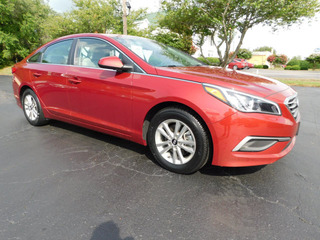 2016 Hyundai Sonata for sale in Murfreesboro TN