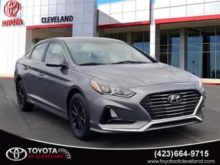 2019 Hyundai Sonata for sale in Mcdonald TN