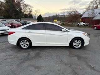 2013 Hyundai Sonata for sale in Leicester NC