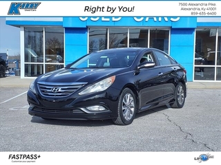 2014 Hyundai Sonata for sale in Alexandria KY