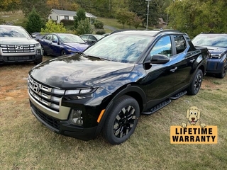 2025 Hyundai Santa Cruz for sale in Johnson City TN