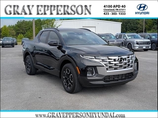 2024 Hyundai Santa Cruz for sale in Cleveland TN