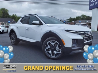 2023 Hyundai Santa Cruz for sale in Knoxville TN