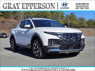 2025 Hyundai Santa Cruz for sale in Cleveland TN