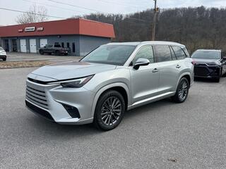 2024 Lexus TX 350 for sale in Kingsport TN