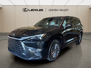 2025 Lexus TX 350 for sale in Allentown PA