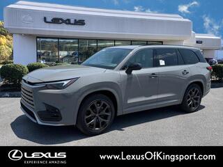 2025 Lexus TX 500h