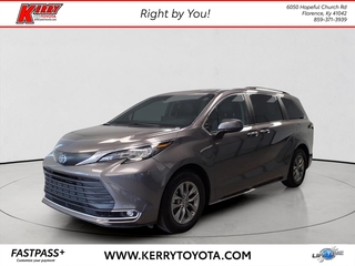 2023 Toyota Sienna for sale in Florence KY