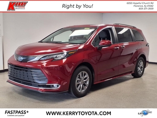 2024 Toyota Sienna for sale in Florence KY
