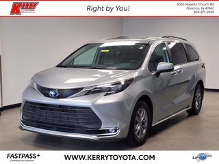 2024 Toyota Sienna for sale in Florence KY