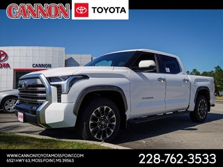 2025 Toyota Tundra for sale in Moss Point MS