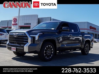 2025 Toyota Tundra for sale in Moss Point MS