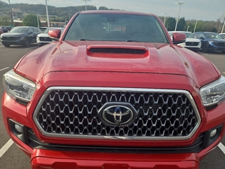 2019 Toyota Tacoma for sale in Johnson City TN