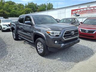 2017 Toyota Tacoma for sale in Guthrie KY