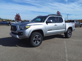 2019 Toyota Tacoma for sale in Dundee MI