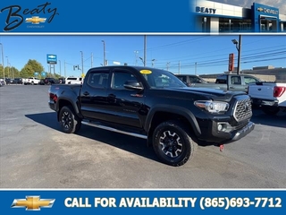 2020 Toyota Tacoma for sale in Knoxville TN