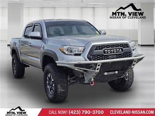 2019 Toyota Tacoma for sale in Mcdonald TN