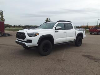 2021 Toyota Tacoma for sale in Dundee MI