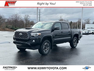 2021 Toyota Tacoma for sale in Florence KY