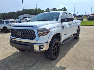 2019 Toyota Tundra for sale in Muskegon MI