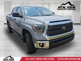 2019 Toyota Tundra for sale in Mcdonald TN