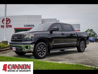 2010 Toyota Tundra for sale in Moss Point MS