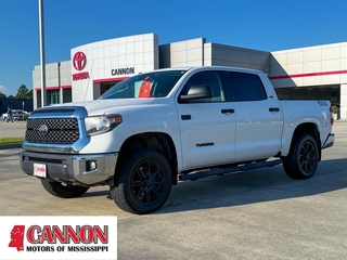 2019 Toyota Tundra for sale in Moss Point MS