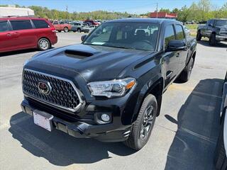 2019 Toyota Tacoma for sale in Kingsport TN