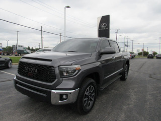 2021 Toyota Tundra for sale in Toledo OH