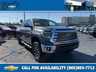 2019 Toyota Tundra for sale in Knoxville TN