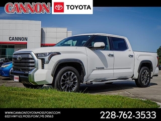 2023 Toyota Tundra for sale in Moss Point MS