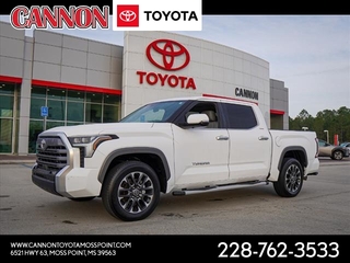 2023 Toyota Tundra for sale in Moss Point MS