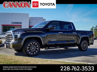 2024 Toyota Tundra for sale in Moss Point MS