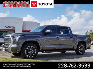 2024 Toyota Tundra for sale in Moss Point MS