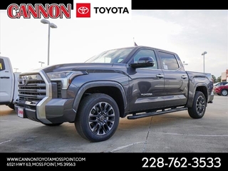 2024 Toyota Tundra for sale in Moss Point MS