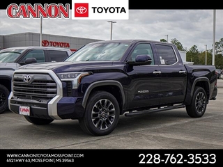 2024 Toyota Tundra for sale in Moss Point MS