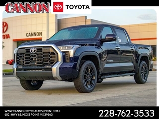 2023 Toyota Tundra