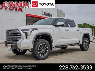 2024 Toyota Tundra for sale in Moss Point MS