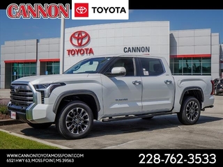 2024 Toyota Tundra for sale in Moss Point MS