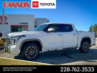 2024 Toyota Tundra for sale in Moss Point MS