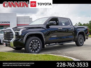 2024 Toyota Tundra for sale in Moss Point MS