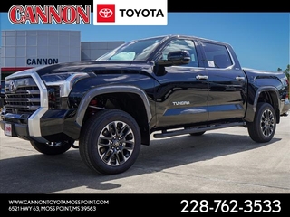 2025 Toyota Tundra