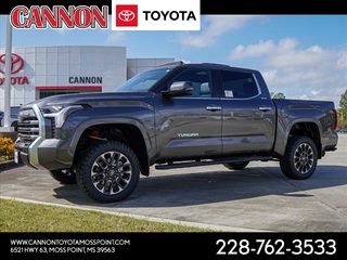 2025 Toyota Tundra for sale in Moss Point MS