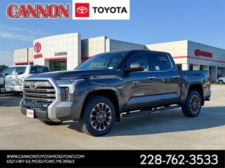 2026 Toyota Tundra for sale in Moss Point MS