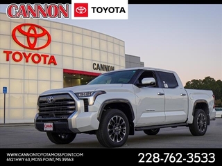 2024 Toyota Tundra for sale in Moss Point MS